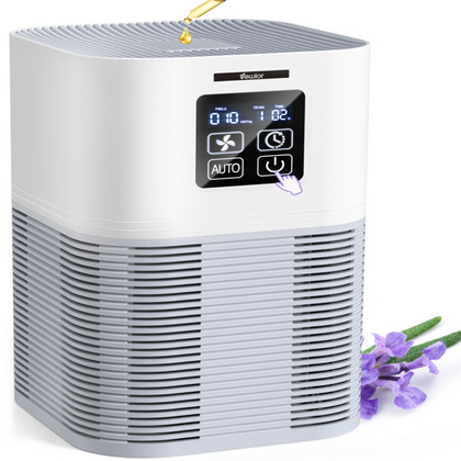 Diffuseur d'aromathérapie purificateur d'air 2 en 1