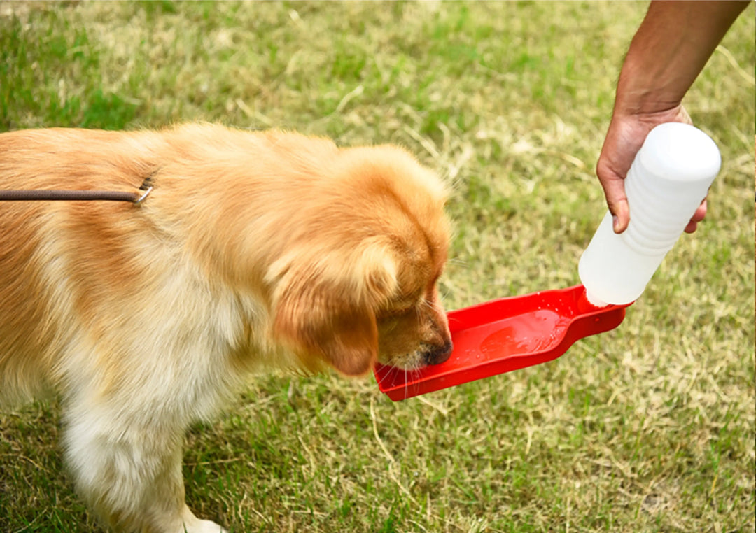 Portable Pet Travel Water Bowl Bottle Feeder Drinking Fountain - Shakefav.com