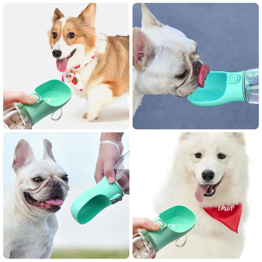 Outdoor Pet Dog Feeder Bowls Cats Dogs Travel Water Dispenser Feeder-0utdoor Pet Feeder - Shakefav.com