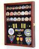 Challenge Coin/Medals/Pins/Badges/Ribbons/Insignia/Buttons Chips Combo