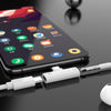 High quality Two in one Type C Earphone Charging
