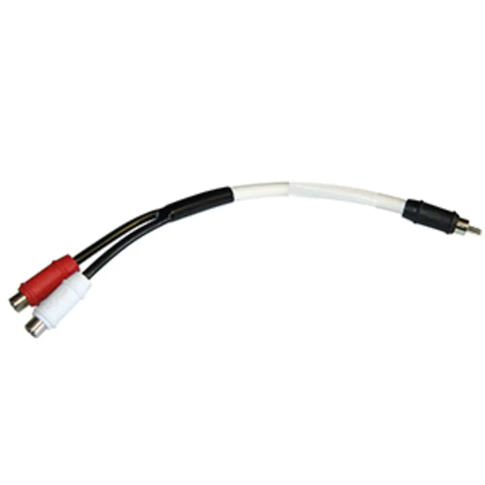 Marine Audio RCA Y-Cable - Single Male/Dual Female - Shakefav.com