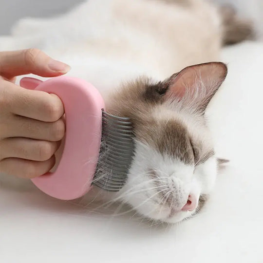 Pet Massage Brush Pet Grooming Massage Tool To Remove Loose Hairs - Shakefav.com