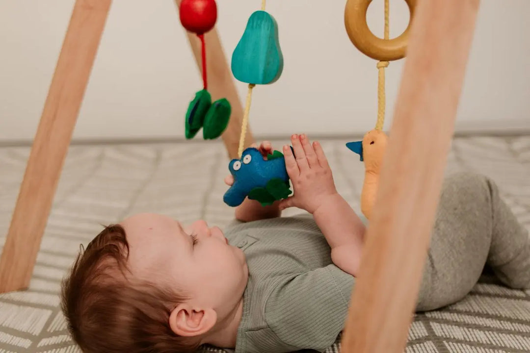 QToys Australia (USA) BABY GYM - Shakefav.com