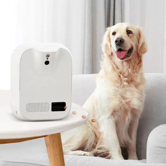 DELETE THIS SKU - Smart Pet Feeder Camera Dog Cat Automatic Food - Shakefav.com